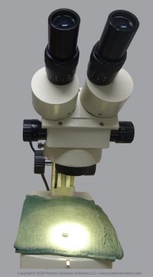 Microscope